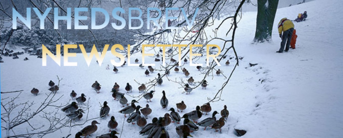 Alle medarbejdere ønskes en god jul. Merry Christmas to all employees.