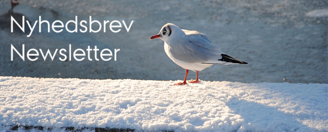 Nyhedsbrev nr. 24 januar 2013/Newsletter 24 - January 2013