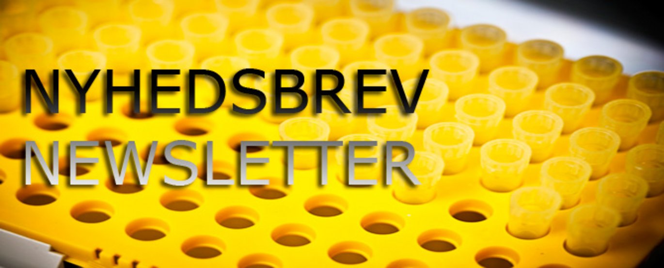 Nyhedsbrev nr. 2/Newsletter 2 Foto: Colourbox/image-ZN