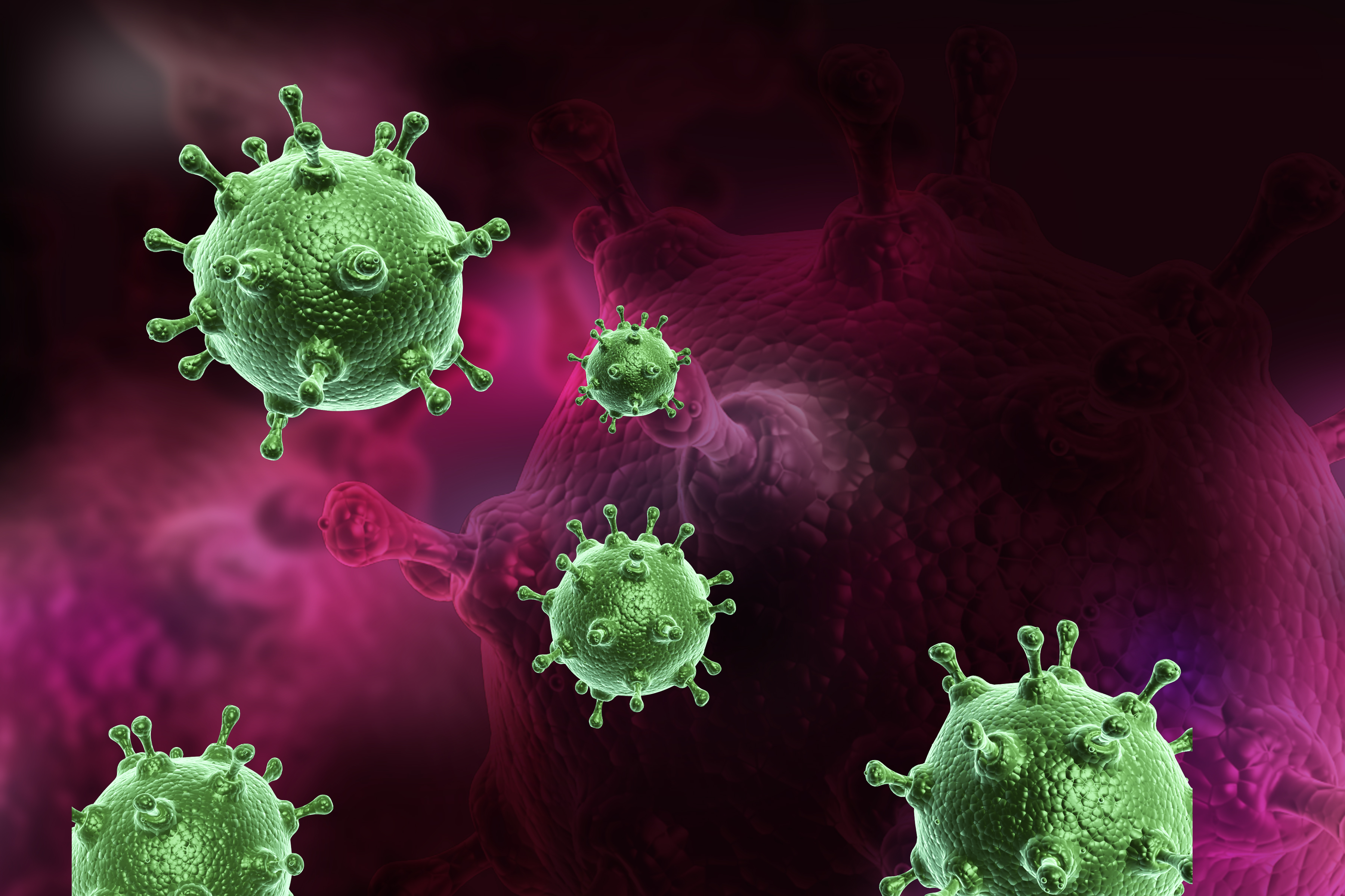 Influenzavirus snyder i første omgang immunforsvaret og når på den måde at sprede sig, inden det bliver opdaget. Influenzavirus